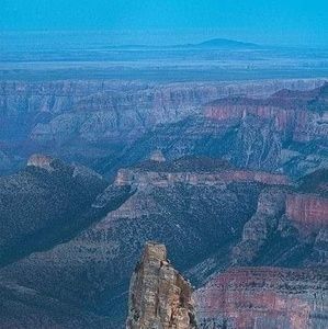 Meet your Posher, Gary